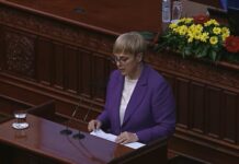 Пирц Мусар: Неопходно е да се донесат уставните измени, чекањето не е добро ниту за ЕУ ниту за Македонија