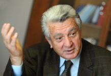 Бугарите се веќе внесени во Уставот, тропаме на веќе отворена врата, смета академик Камбовски