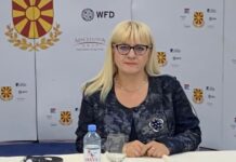 Дескоска избрана за потпретседателка на Поткомисијата за судство на Венецијанската комисија
