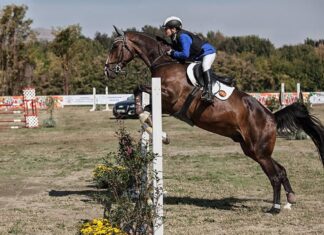 Спортски вести