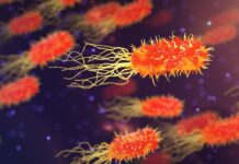 Британските власти ги преместуваат барателите на азил поради појава на бактерија легионела