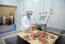 Како македонските компании да ја подобрат достапноста до тендерите на НАТО