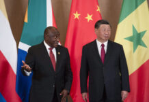 Мотивите на Саудиска Арабија за членување во БРИКС