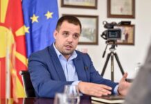 Директорот на царина Богоев најавува активирање на Секторот за посебни истражни мерки