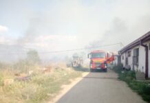Свињарска фарма спасена од пожар кај штипското село Пиперово