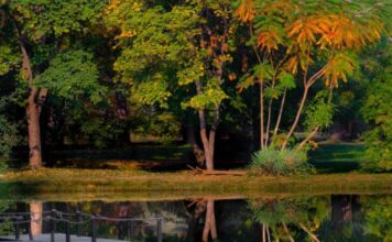 Денеска променливо и облачно време со сончеви периоди, од утре потопло Gradski park