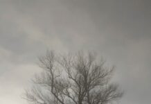 Во маглата на Илија Ацески – ФОТОГРАФИЈА НА НЕДЕЛАТА