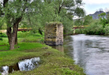 „Чебрен“ – за и против