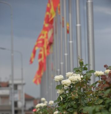 Само силна и суверена Македонија може да се справи со идните предизвици