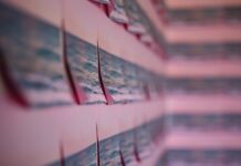 Изложба на Зоран Лазаревски во МКЦ