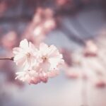 Почна пролетта – денеска рамноденица и променливо време