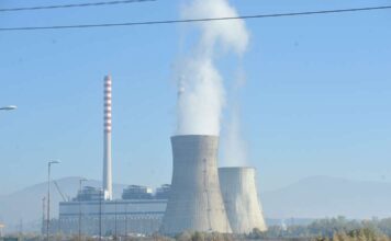 Истата храна ја конзумирале и вработените во делот „Термо“ на РЕК Битола, тие не пријавиле никакви симптоми, велат од АД ЕСМ