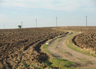 Рано е да се каже колку од земјоделските површини претрпеа штети, вели Трипуновски
