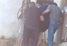 Сточар нападнат од мечка на планината Мукос, го бранеле неговите две кучиња