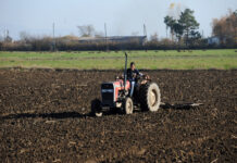 Јорданоски: Ниски откупни цени, неорганизиран пласман и нелојална конкуренција дел од предизвиците во земјоделството