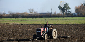 Јорданоски: Ниски откупни цени, неорганизиран пласман и нелојална конкуренција дел од предизвиците во земјоделството