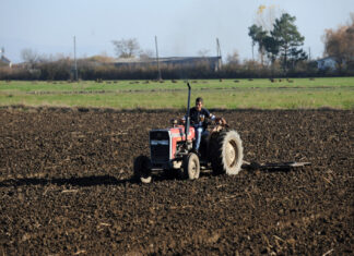 Јорданоски: Ниски откупни цени, неорганизиран пласман и нелојална конкуренција дел од предизвиците во земјоделството