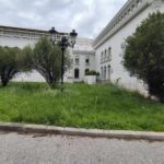 Џафери и Град Скопје се прозиваат кој да ја искоси неуредната трева околу Влада