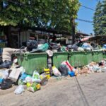 Досега не се забележани некои заболувања што се директно поврзани со насобраниот смет во Скопје, порача епидемиологот Кочнски