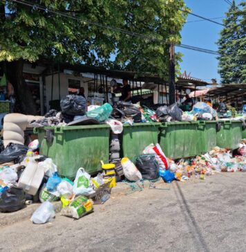 Досега не се забележани заболувања што се директно поврзани со насобраниот смет во Скопје, порача епидемиологот Кочински