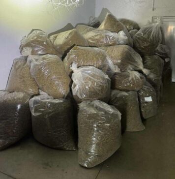 Запленети 62 пакувања со марихуана при претрес на возило во Струшко