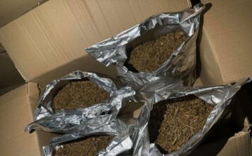 МВР пресече транспорт на марихуана