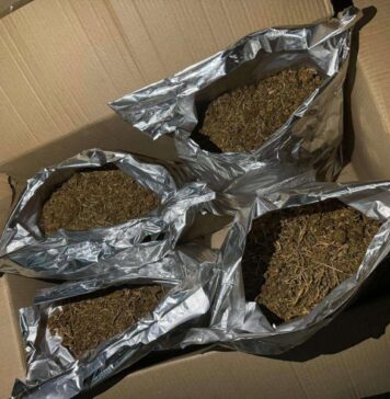 МВР пресече транспорт на марихуана