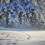 Пет германски планинари го загубија животот во лавина во Јужен Тирол