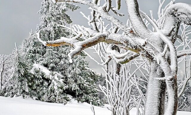 Голема снежна бура во САД, стотици илјади останаа без електрична енергија