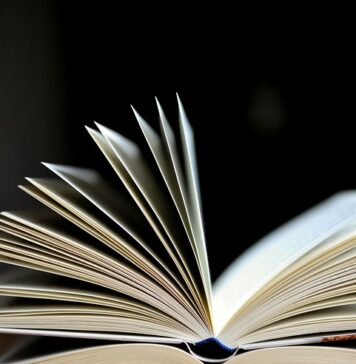 За наградата „Роман на годината“ во трка 43 романи