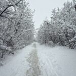 Студен бран во Хрватска, издадени црвени и портокалови метеоаларми