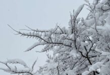 Силна снежна бура се очекува на источниот брег на САД