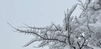 Силна снежна бура се очекува на источниот брег на САД