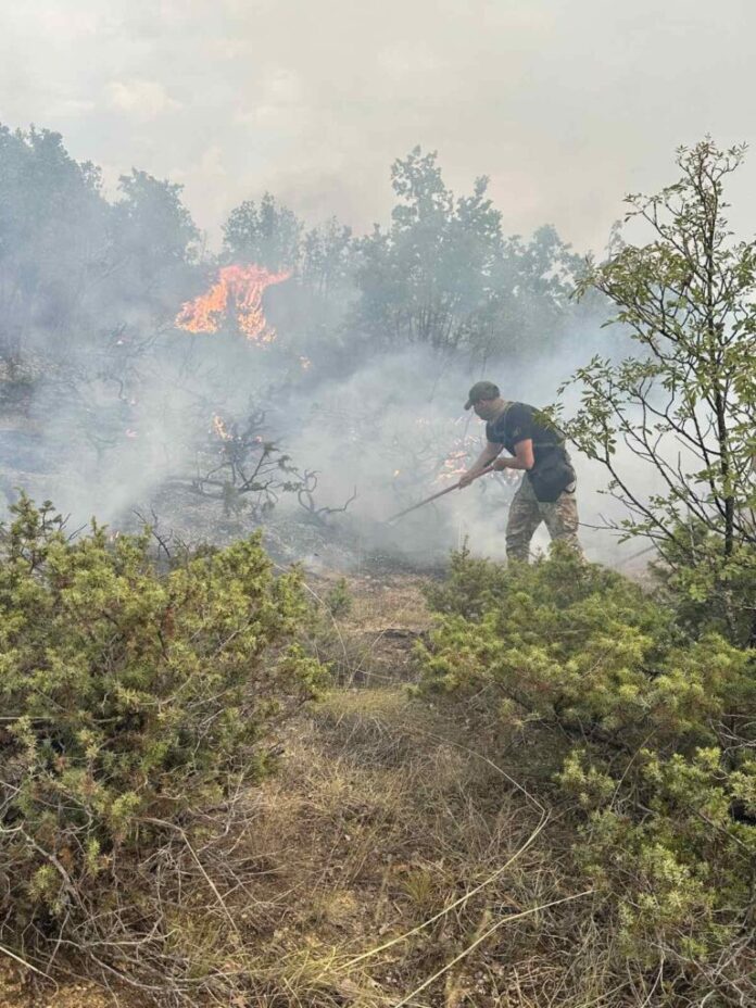 Mikhailov: Protective hoops are made through the forests, for their fire protection