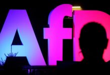 Alternative for Germany (AfD)