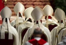 Vatican cardinals