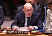 Vasily Nebenzya