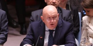 Vasily Nebenzya