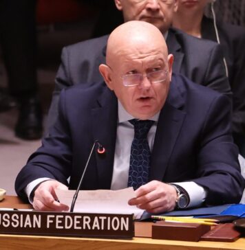 Vasily Nebenzya