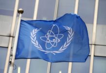 International Atomic Energy Agency
