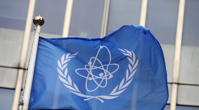 International Atomic Energy Agency