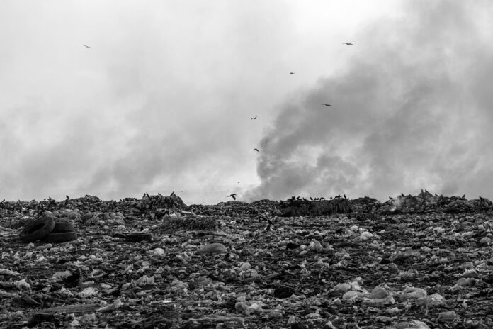 Swedish « Waste Queen » sentenced to six years in prison for serious environmental crimes