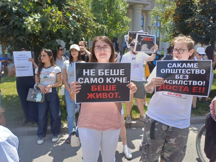 Protest for dog Felix, citizens say they are seeking justice and imprisonment for animal killers