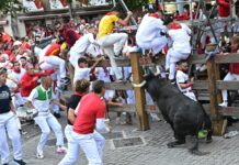 Pamplona