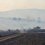 МВР: Поради пожар затворен за сообраќај автопатот од наплатна рампа Миладиновци до клучка Бунарџик, возилата се насочуваат кон Петровец