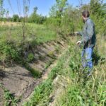 Какви промени можат да го кренат домашното земјоделско производство