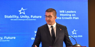 Ќе добиеме петка и ќе бидеме шампиони ако ги направиме уставните измени, а потоа ќе имаме ново вето, рече Мицкоски