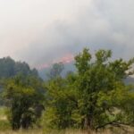До 12.30 часот девет активни пожари, еден локализиран