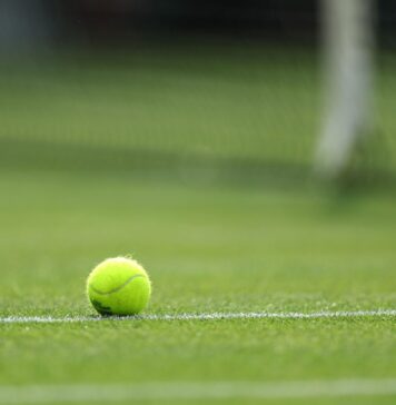 Рибакина и Фриц имаа најмногу ас-сервиси годинава