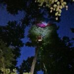 Спасувачка акција на повреден параглајдерист заглавен на дрво високо над 30 метри